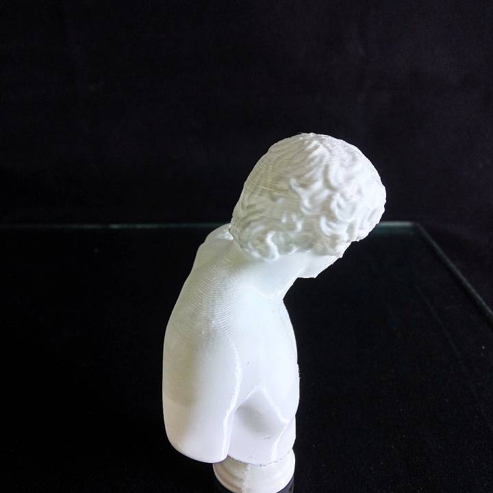 D Printable Antinous Ecouen Bust By Scan The World