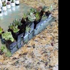 Picture of print of Micro Planter Chess Set