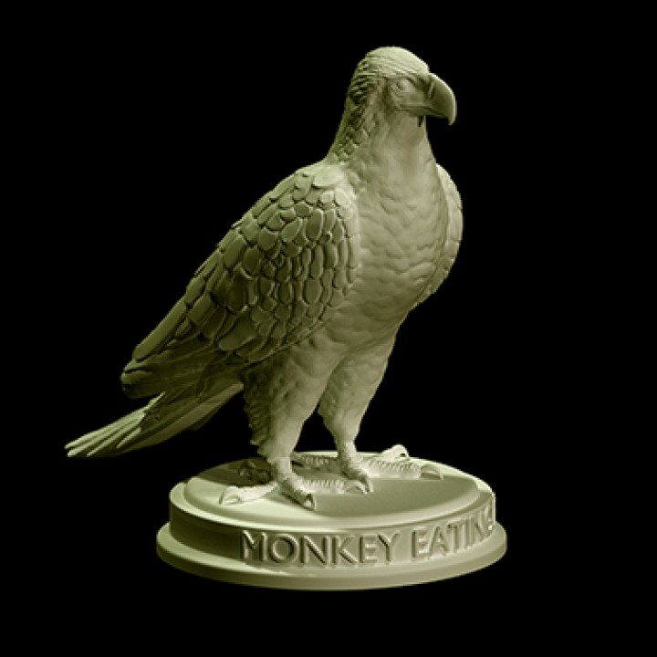 Philippine Monkey-Eating Eagle image