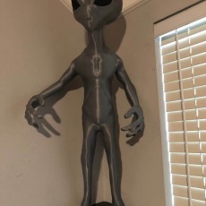 Picture of print of Grey Alien