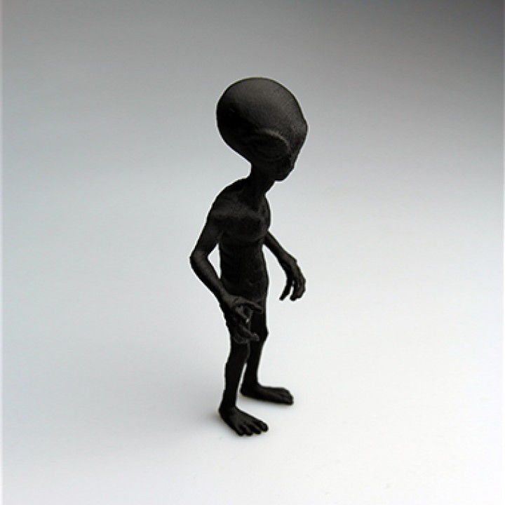 その他 Grey type Alien figure modeled object ION Model 1/24 Grey Aliens (2 figures) | eBay