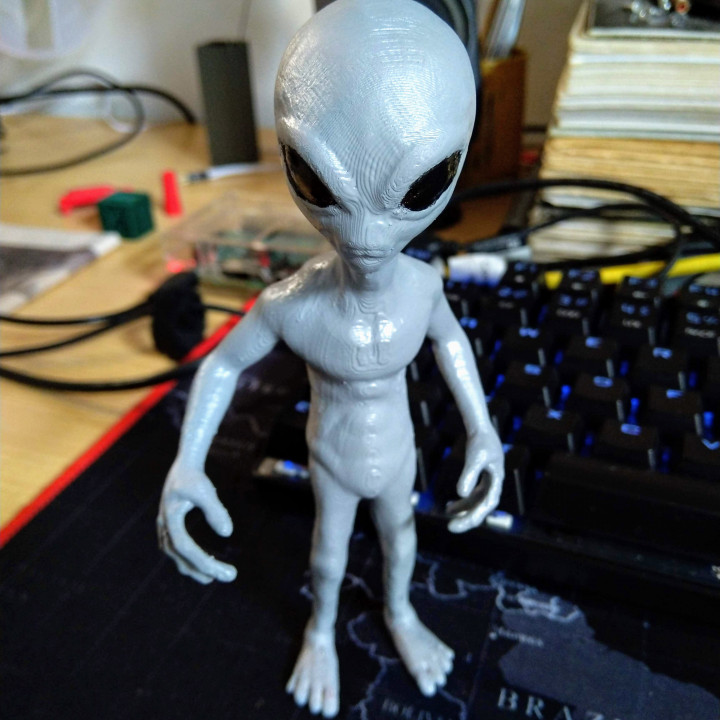 3D Print of Grey Alien by momenso