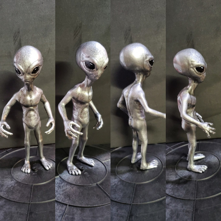 その他 Grey type Alien figure modeled object その他 Grey type Alien figure modeled object Roswell Grey