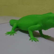 Picture of print of The Green Iguana