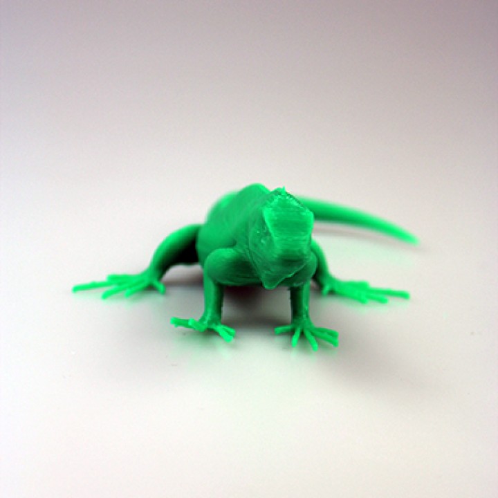 The Green Iguana image