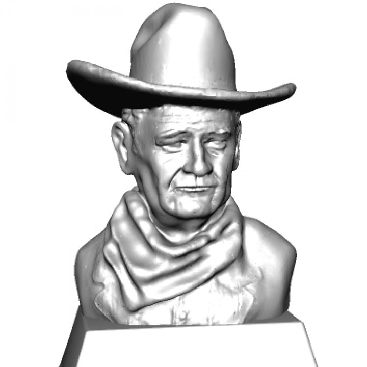 John Wayne Bust image