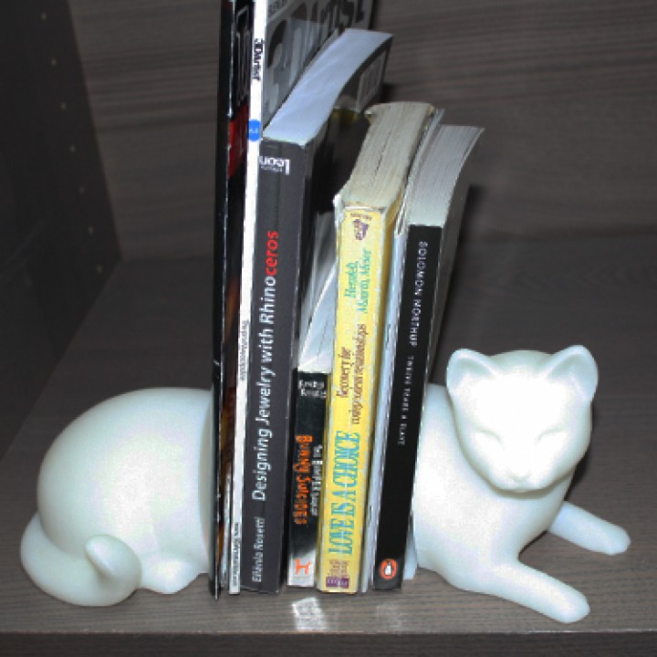 Kitty Cat On Books image