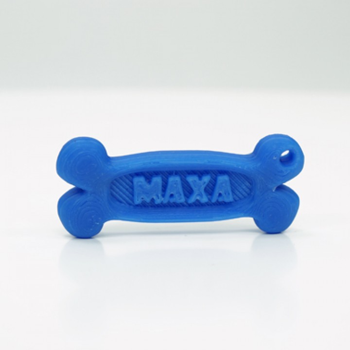 Personalised Pet Bone Keychain image