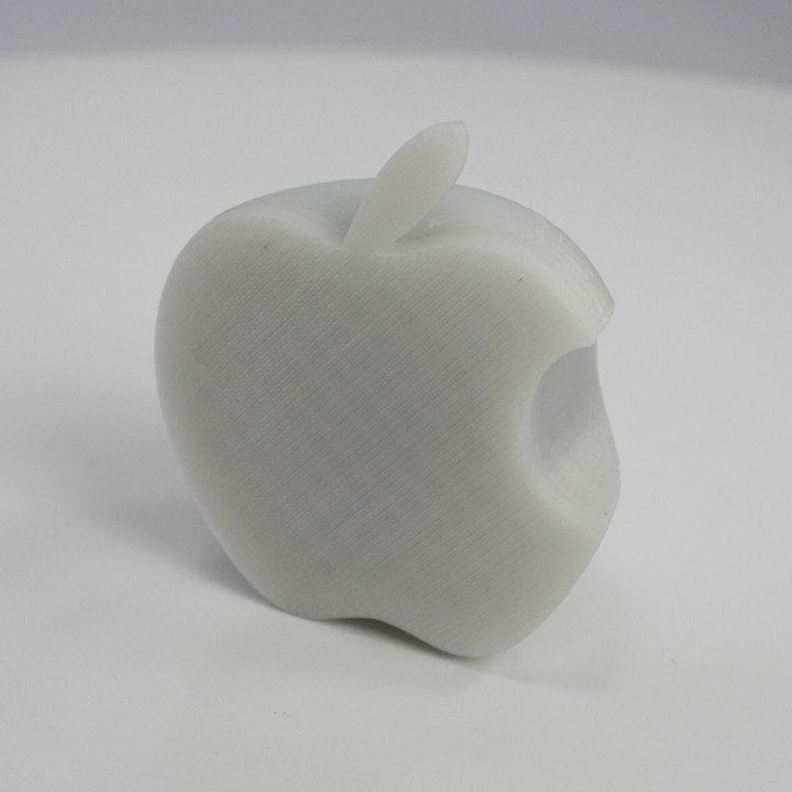 Apple Logo Case image