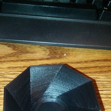 Picture of print of Twisted Bowl