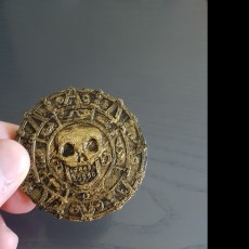 Picture of print of Pirate medallion