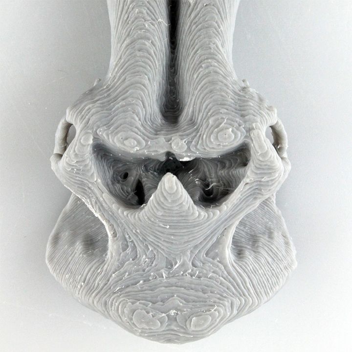 Woolly Mammoth Skull Replica image