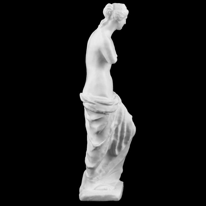 Venus de Milo at The Louvre, Paris image
