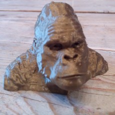Picture of print of Gorilla Bust