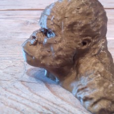 Picture of print of Gorilla Bust