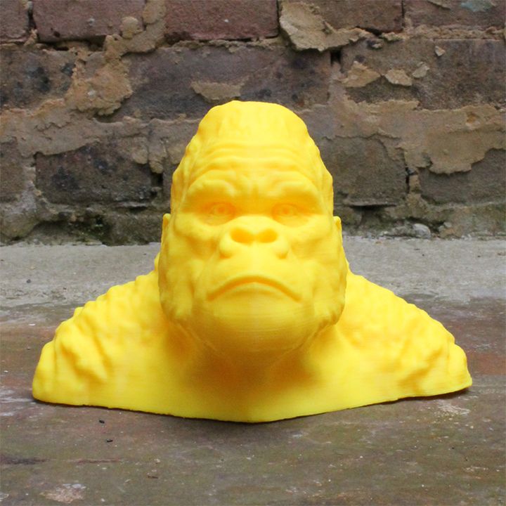 Gorilla Bust image