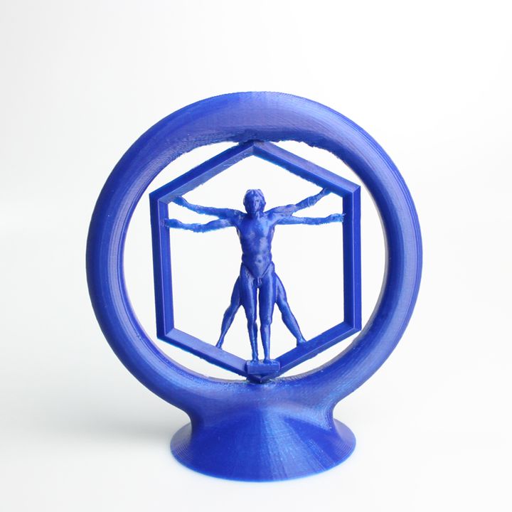 Spinning Vitruvian man image
