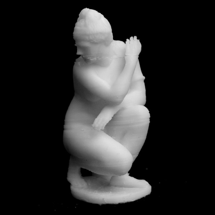 The Crouching Venus image