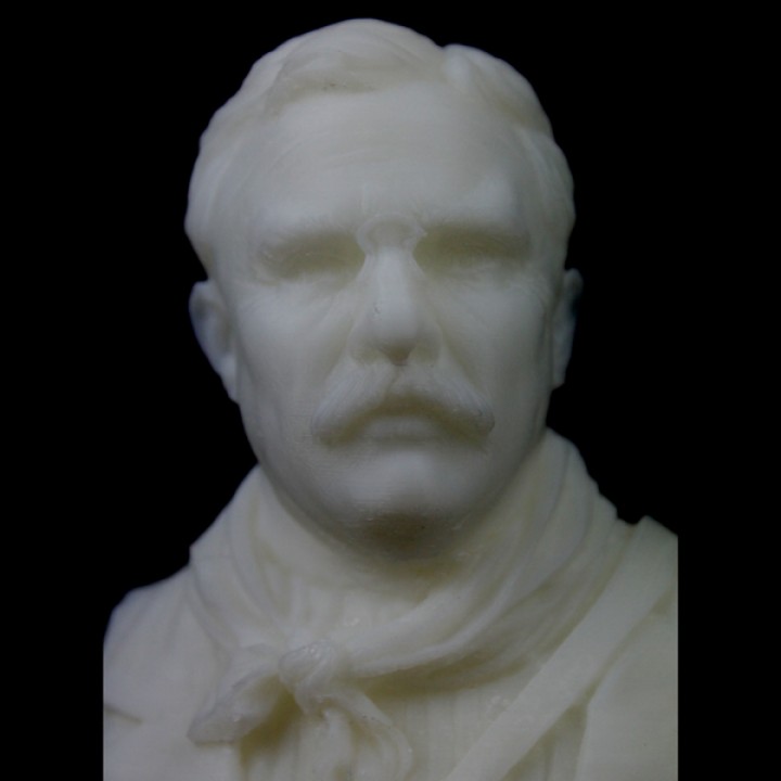 Bust of Theodore Roosevelt at the American Museum of Natural History image