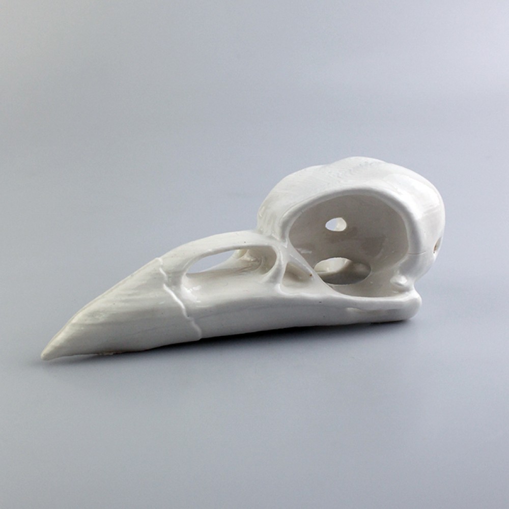 下载Crow's Skull 通过Frederico David Sena