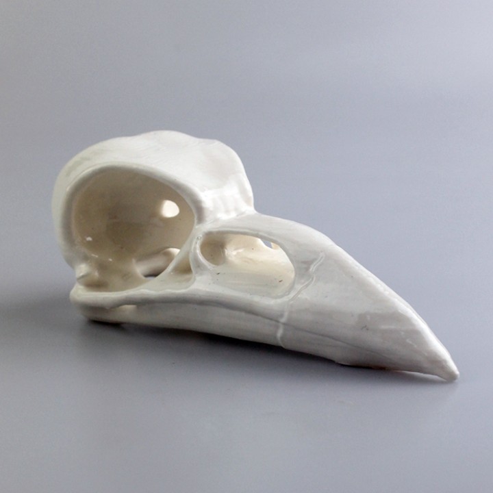 Crow's Skull image