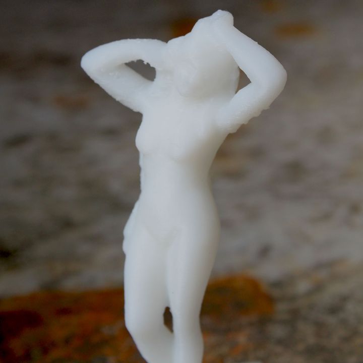 Nude bronze image