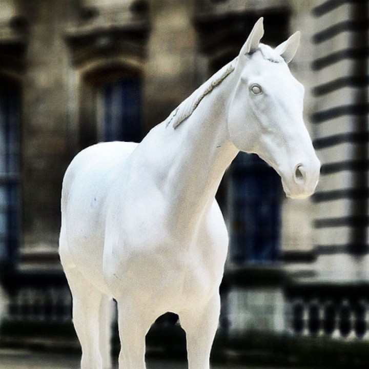 White Horse at The Mall, London image