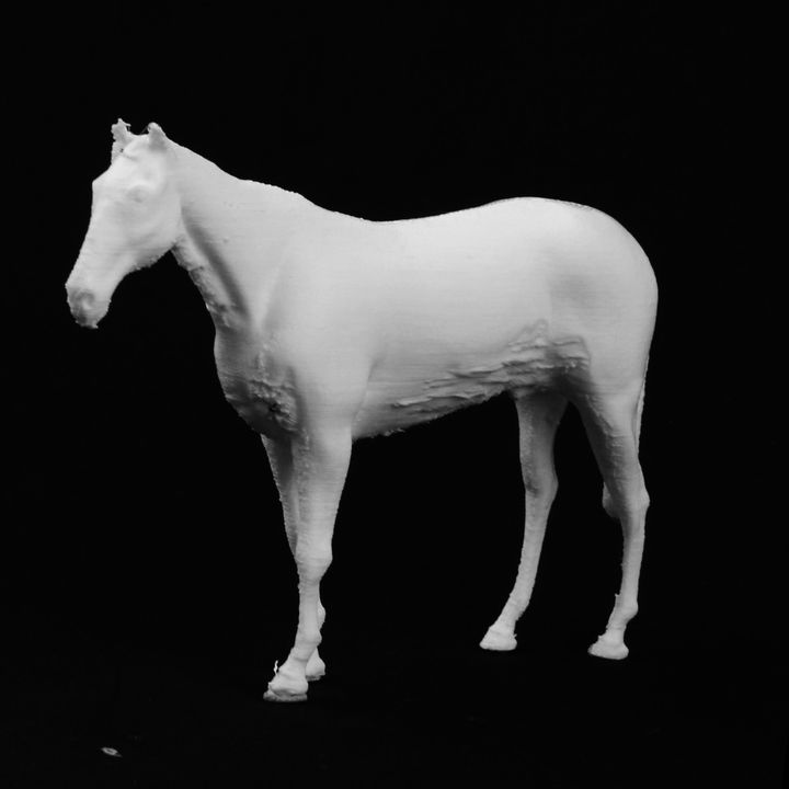 White Horse at The Mall, London image