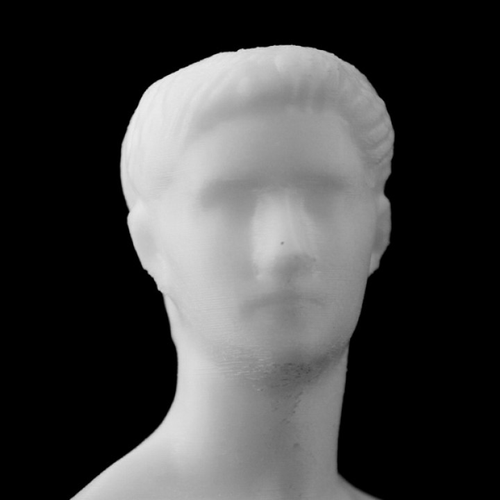 Portrait of Emperor Caligula at the MET, New York image
