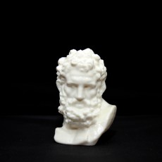 Picture of print of Bust of Hercules at The MET, New York