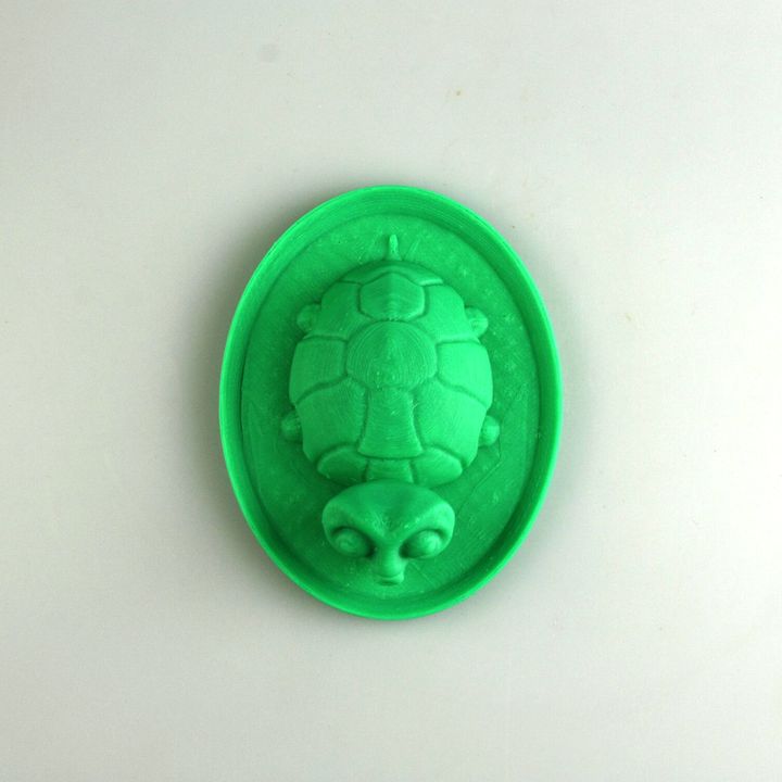 Turtle Soup image