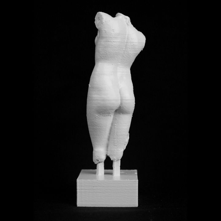 Fragement of The Esquiline Venus at the Louvre, Paris image