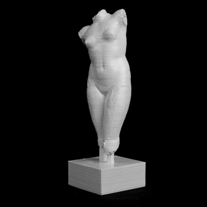Fragement of The Esquiline Venus at the Louvre, Paris image
