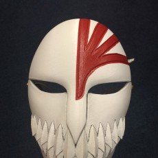 Picture of print of Bleach Mask (Full Size)