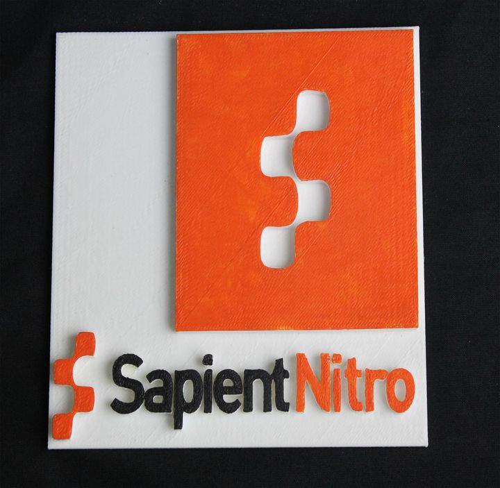 Sapient Nitro image