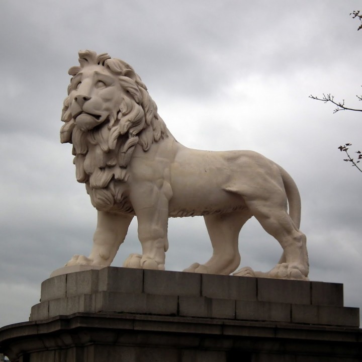 Lion at Westminster Southbank, London image