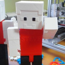 Picture of print of Articulated Steve from Minecraft