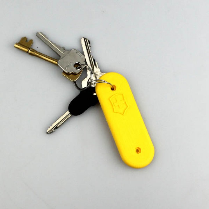 Key Holder- Swiss image