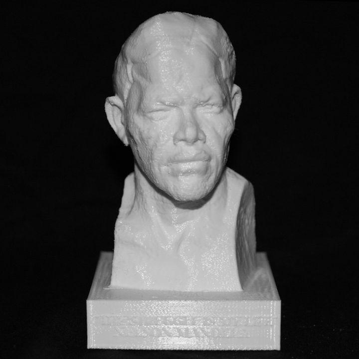 Nelson Mandela Bust at the Royal Festival Hall, London image