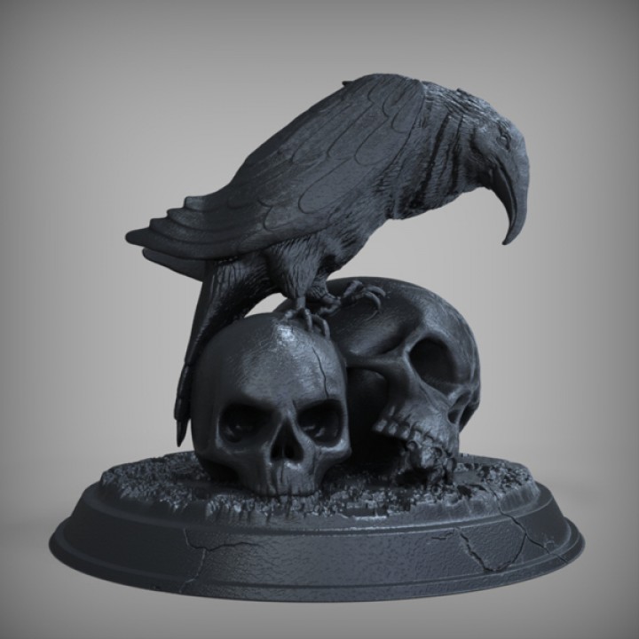 Raven Skull image