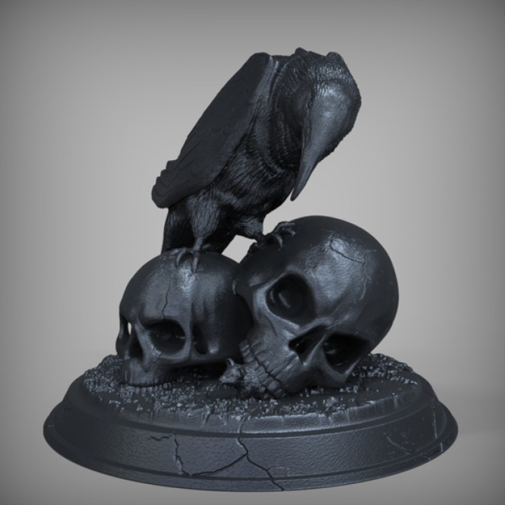 Raven Skull image