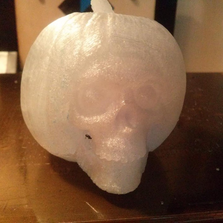 Pumpkin Skull image