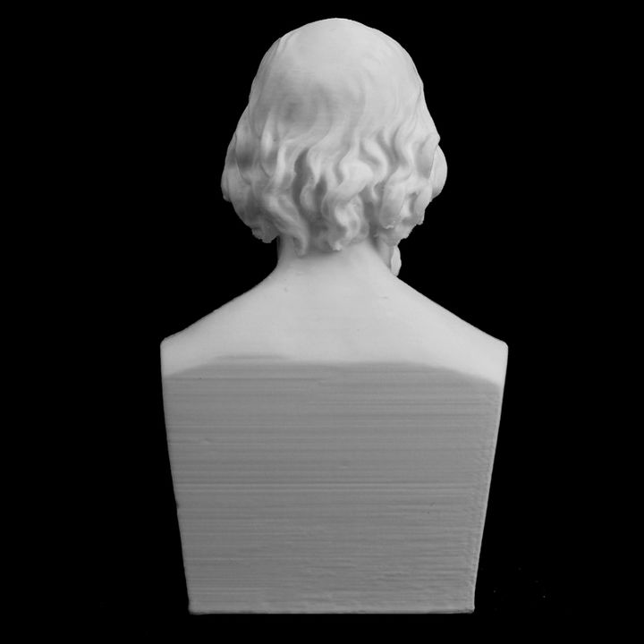 Plaster bust of Alfred Tennyson at The Collection, Lincoln, UK image