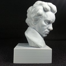 Picture of print of Beethoven at The Collection, Lincoln, UK