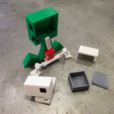 Picture of print of brain box for the minecraft creeper anatomy