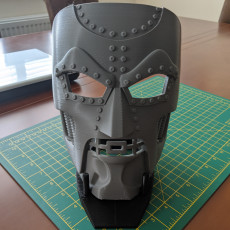 Picture of print of Mask Display Stand