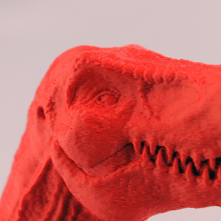 T-Rex Dinosaur head image