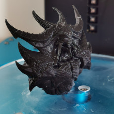 Picture of print of Diablo
