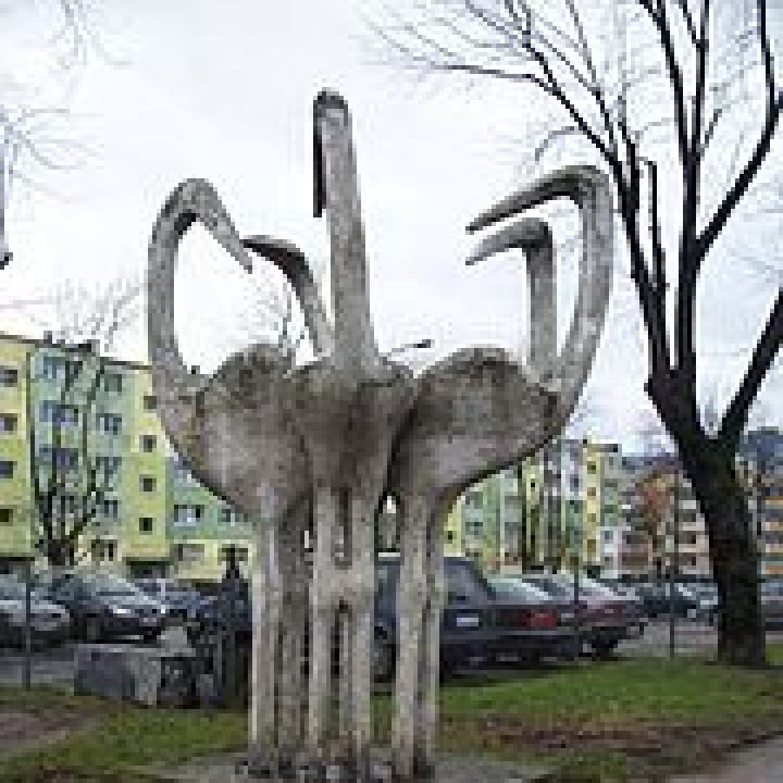 Storks in Lodz, Poland image