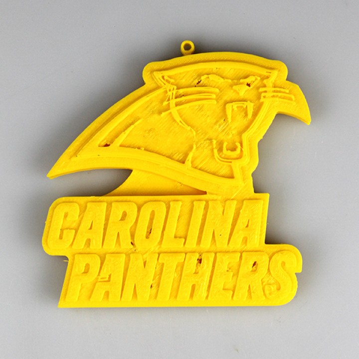 Carolina Panthers Logo image